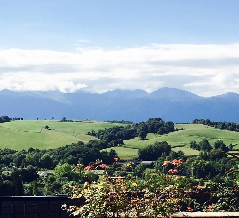 Les Gites De La Maison Bleue D'Estialescq Zewnętrze zdjęcie
