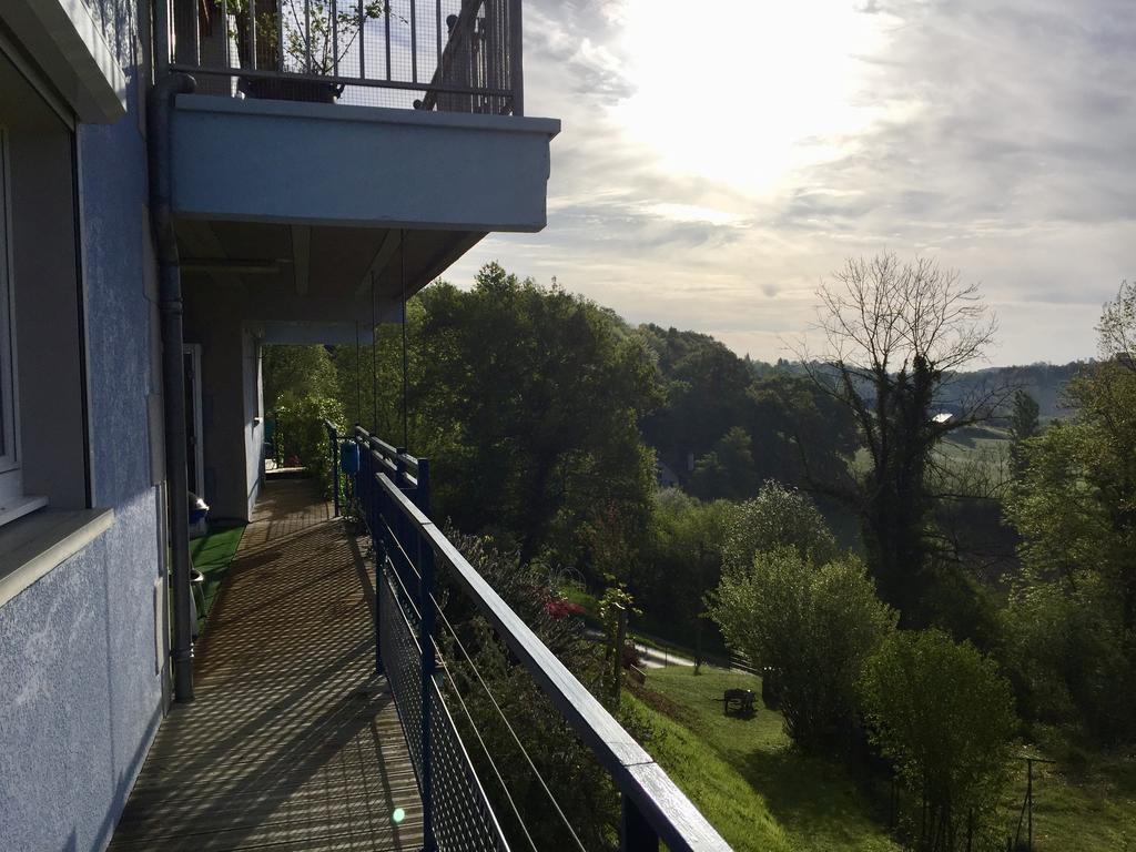 Les Gites De La Maison Bleue D'Estialescq Zewnętrze zdjęcie